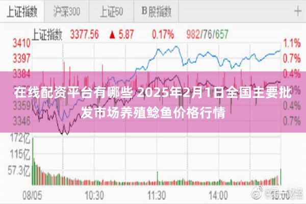 在线配资平台有哪些 2025年2月1日全国主要批发市场养殖鲶鱼价格行情