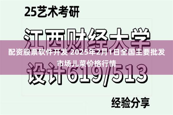 配资股票软件开发 2025年2月1日全国主要批发市场儿菜价格行情