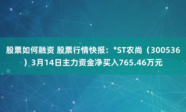 股票如何融资 股票行情快报：*ST农尚（300536）3月14日主力资金净买入765.46万元